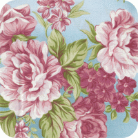 DHI-10551-199 Pristine