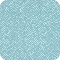 C1065 sky Fun Basics FQ