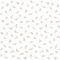 DSK-11453-192 Pristine 2 FQ