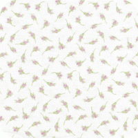 DSK-11453-200 Pristine 2 FQ