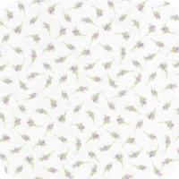 DSK-11453-21 Pristine 2 FQ