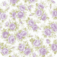 DSK-11454-21 Pristine 2 FQ