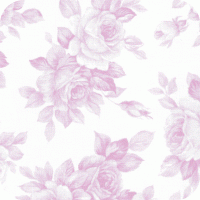 DSK-11455-192 Pristine 2 FQ