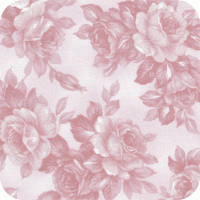 DSK-11455-200 Pristine 2 FQ