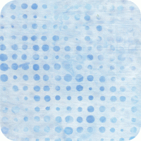 12258 216 Dotty Dot FQ