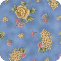 18171 blu1 Canterbury