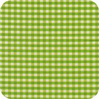 C3248 apple Fun Basics FQ