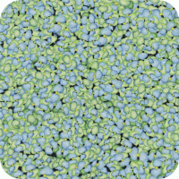 45484 B Hydrangea Bounty