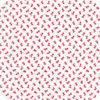 8715 121 Hints Of Prints 4