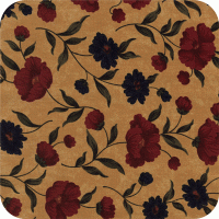 9350 11 Sandhill Plums
