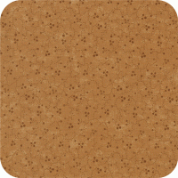 9354 21 Sandhill Plums FQ