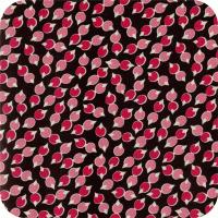 ADZ 6851-122 Camellia Betty Dear
