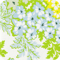HB18-Sky Nicey Jane