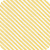 C2944-Yellow Marguerite FQ