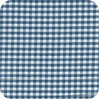 C3248 denim Fun Basics