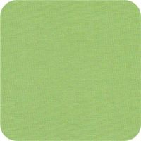 25026 mint Storybook Solids FQ