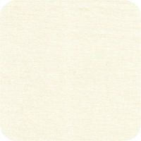 25029 ivory Storybook Solids FQ
