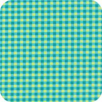C3248 LimeadeFQ Fun Basics