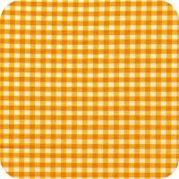 C3248 yellowFQ Fun Basics