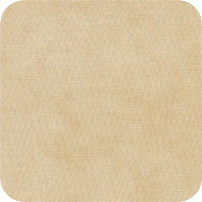 1040 22 Primitive Muslin