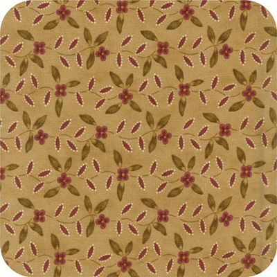 2667 14 Wild Rose