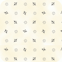 R17 7603-0112 Prairie Shirtings