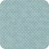 8654 13 Essential Dots FQ