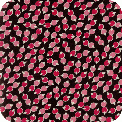 ADZ 6851-122 Camellia Betty Dear