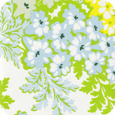 HB18-Sky Nicey Jane