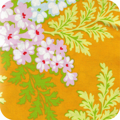 HB18-Tangerine Nicey Jane
