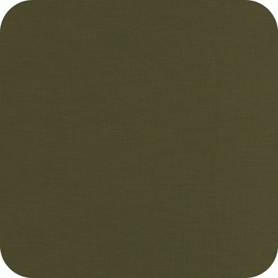 K001-1238 Kona Cotton Solids - Moss