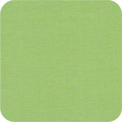 25026 mint Storybook Solids FQ