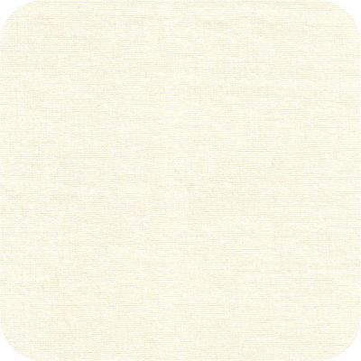 25029 ivory Storybook Solids FQ